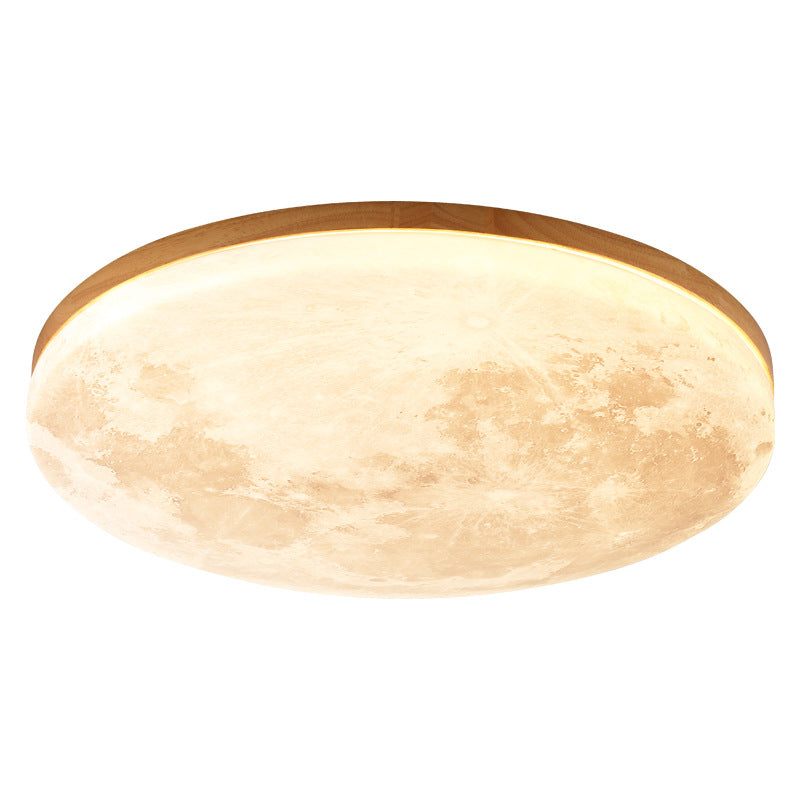 Moon Round LED Flush Mount Ceiling Light
