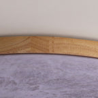 Moon Round LED Flush Mount Ceiling Light