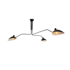 Multi-Arm Spider Ceiling Light