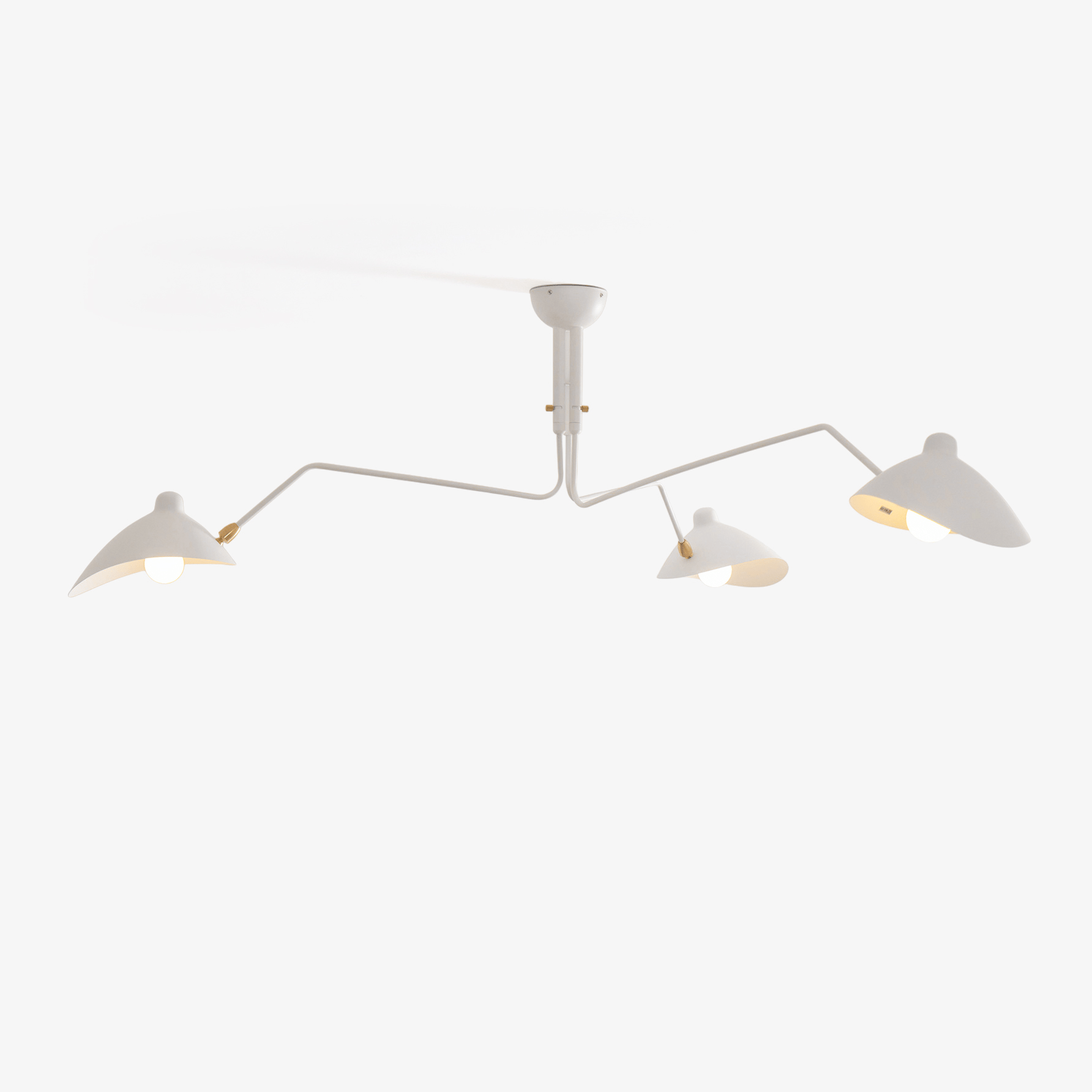 Multi-Arm Spider Ceiling Light