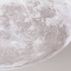 Moon Round LED Flush Mount Ceiling Light