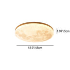 Moon Round LED Flush Mount Ceiling Light