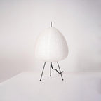 Japanese Lantern Table Lamp