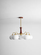 Brass Wooden Persimmon Chandelier