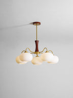 Brass Wooden Persimmon Chandelier