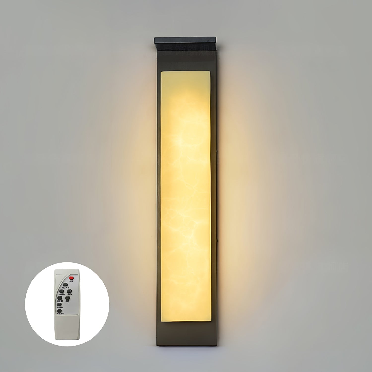Delaney Alabaster Outdoor Wall Light