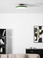 Drift Adjustable Ceiling Lamp