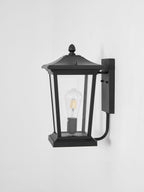 Lodge Birdcage Outdoor Wall Lamp