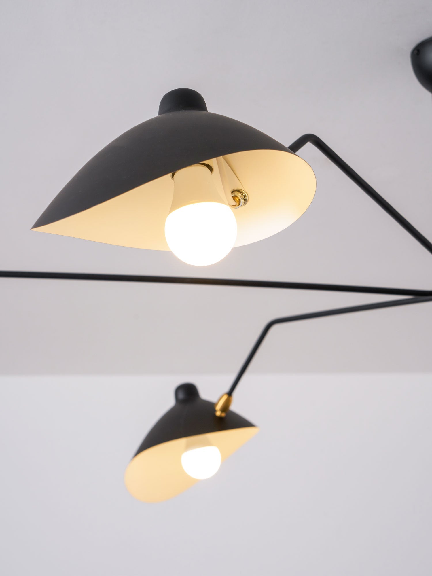 Multi-Arm Spider Ceiling Light