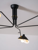 Multi-Arm Spider Ceiling Light
