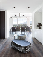 Multi-Arm Spider Ceiling Light