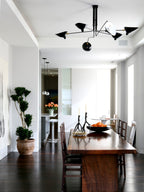 Multi-Arm Spider Ceiling Light