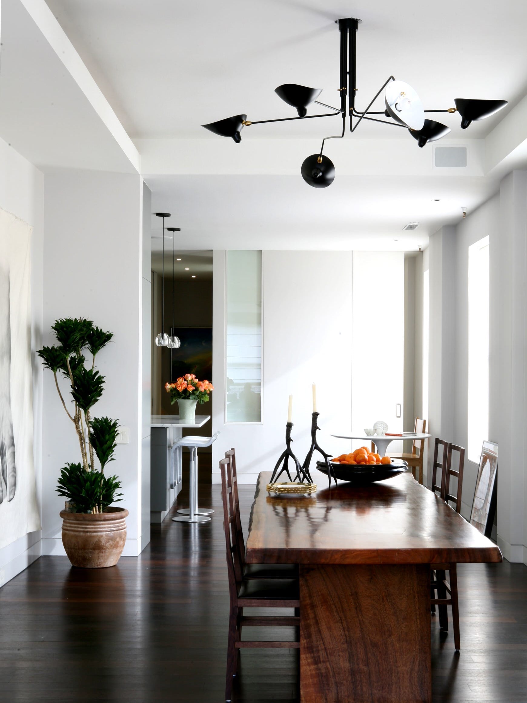 Multi-Arm Spider Ceiling Light