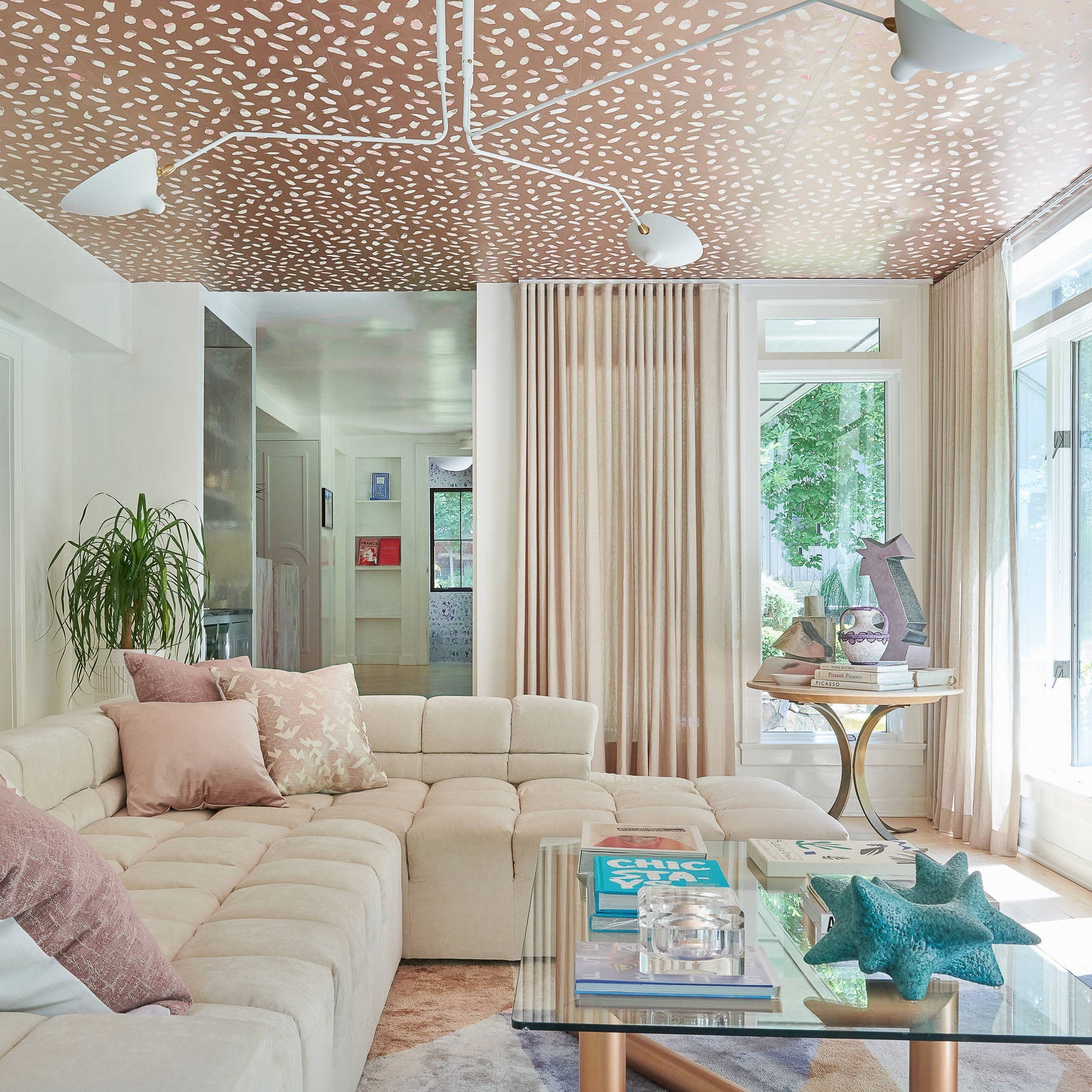 Multi-Arm Spider Ceiling Light