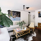 Multi-Arm Spider Ceiling Light