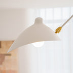 Multi-Arm Spider Ceiling Light