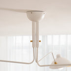 Multi-Arm Spider Ceiling Light
