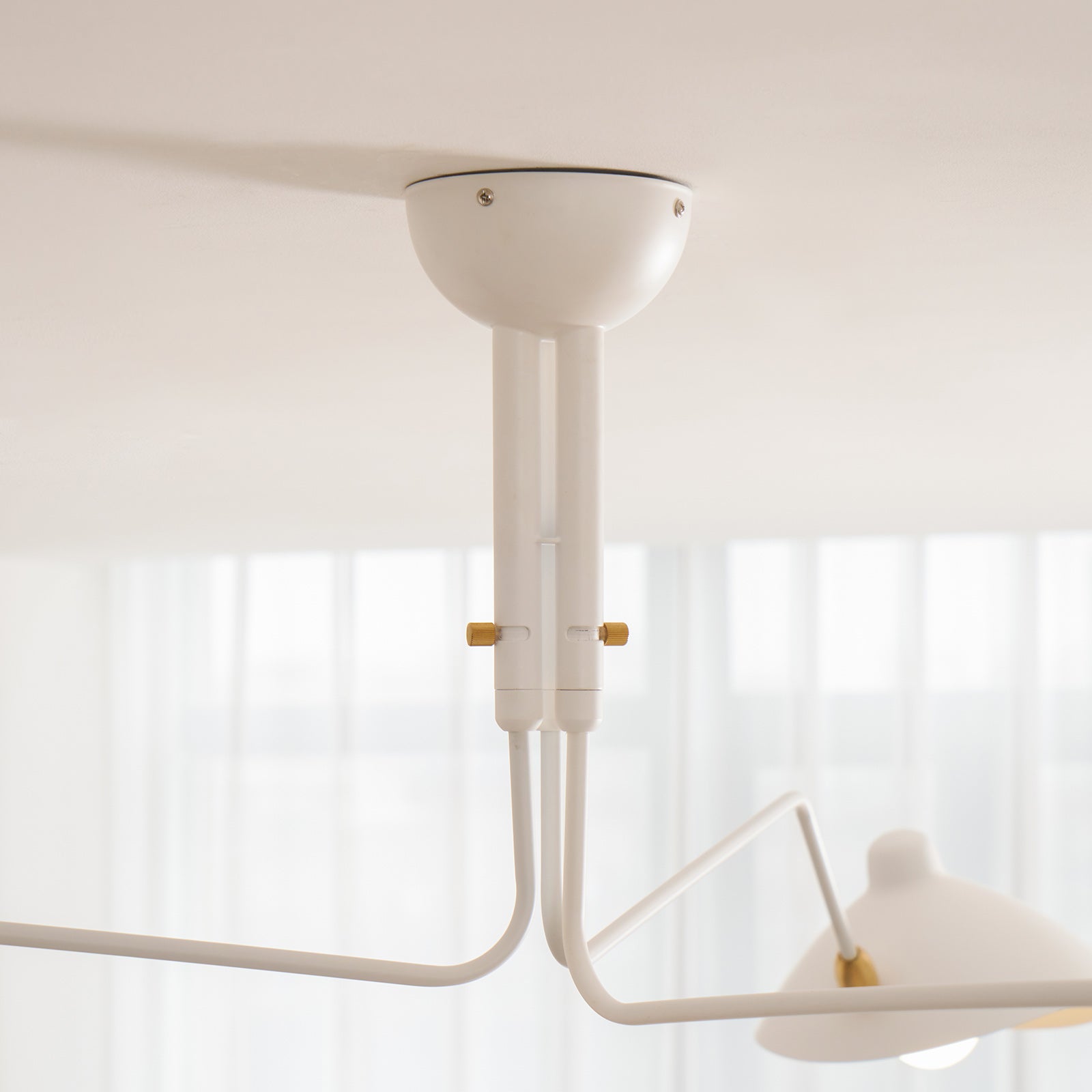 Multi-Arm Spider Ceiling Light