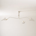 Multi-Arm Spider Ceiling Light