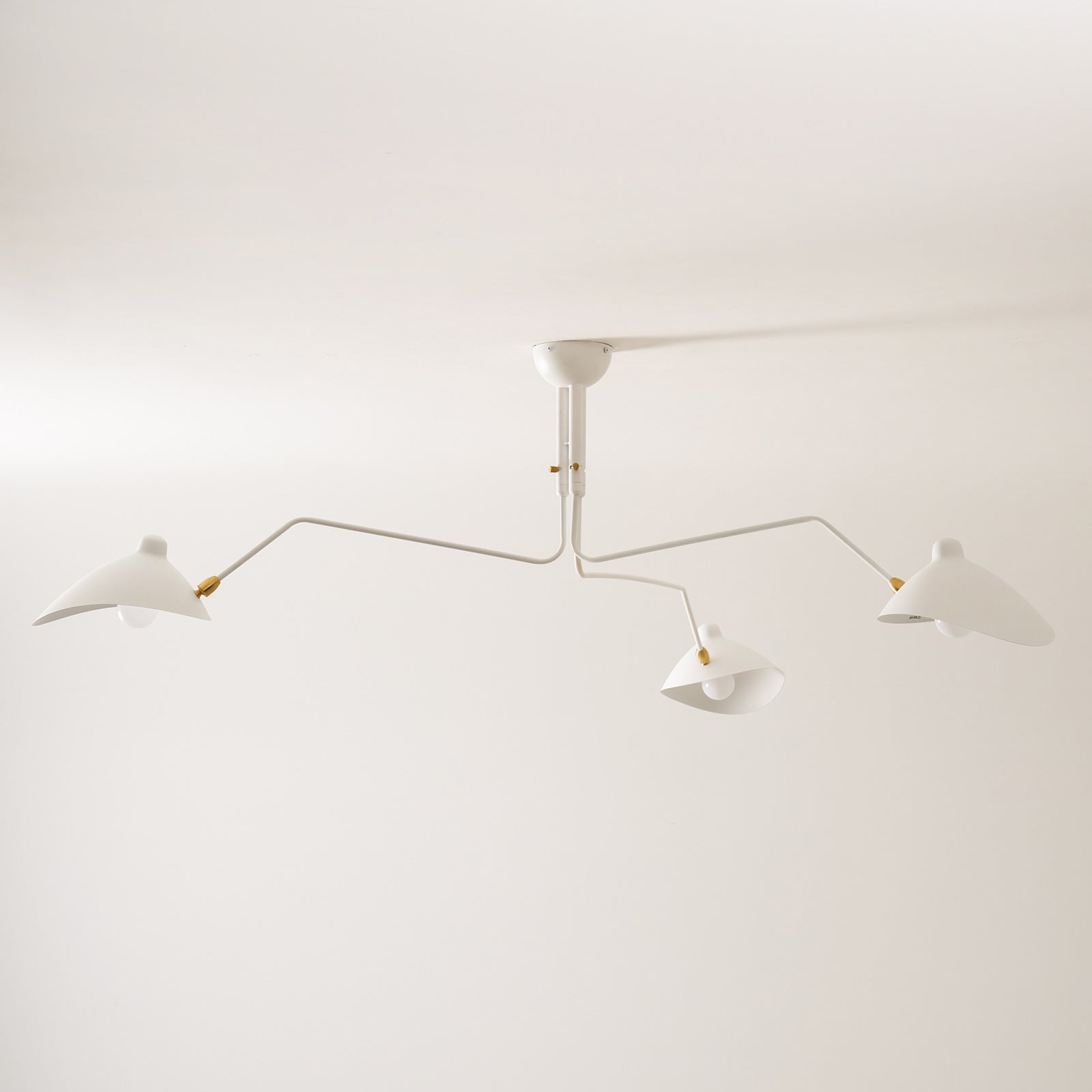 Multi-Arm Spider Ceiling Light