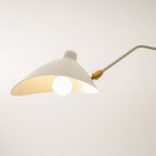 Multi-Arm Spider Ceiling Light