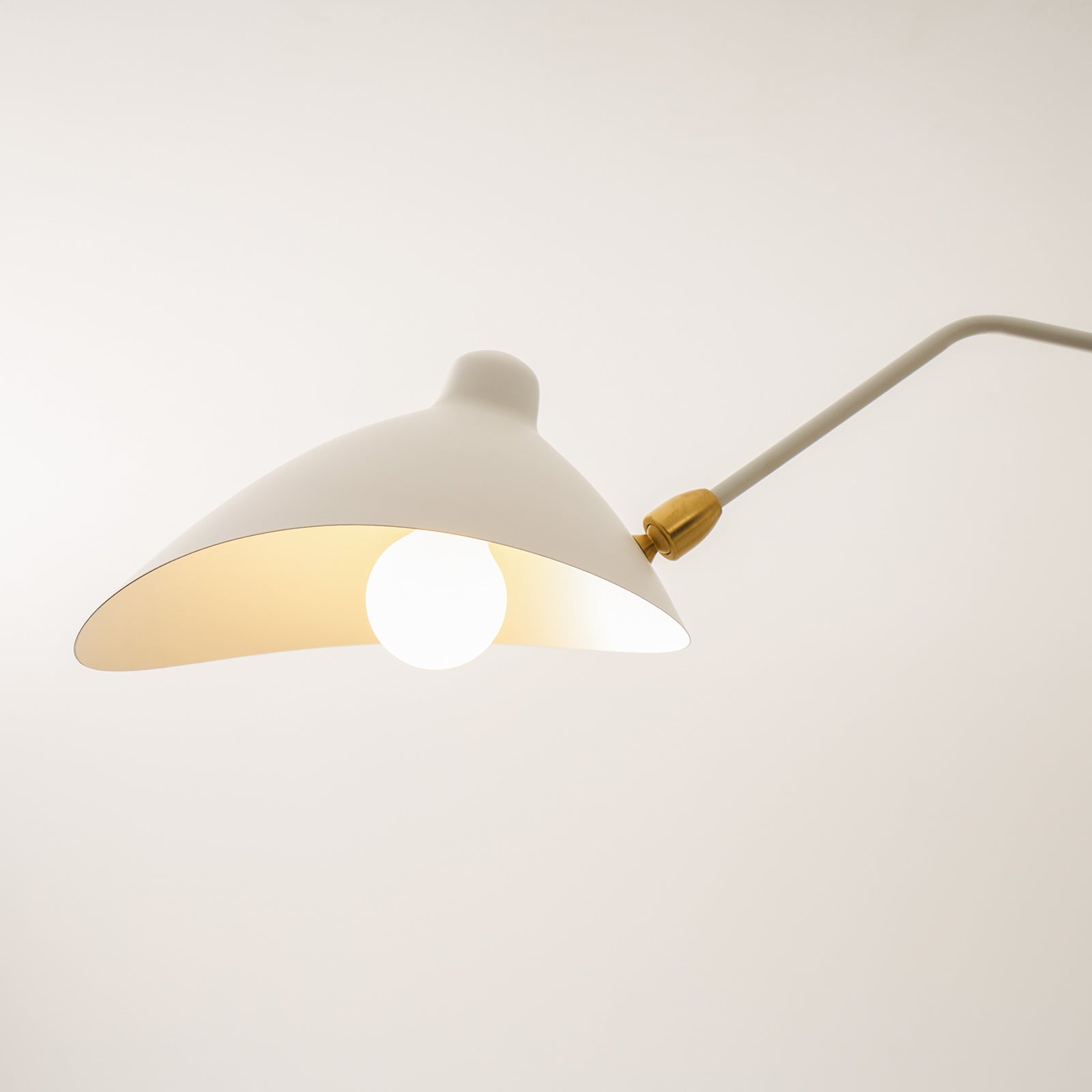 Multi-Arm Spider Ceiling Light