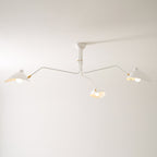 Multi-Arm Spider Ceiling Light