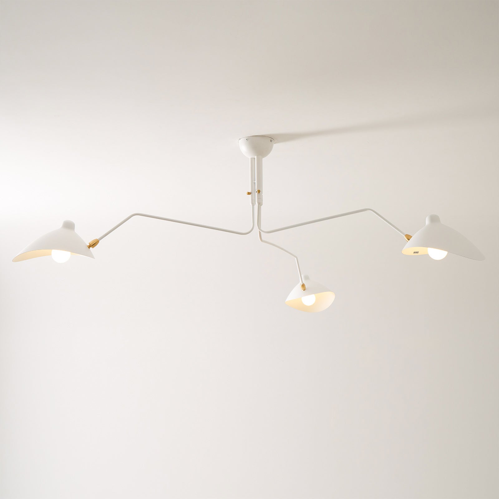 Multi-Arm Spider Ceiling Light