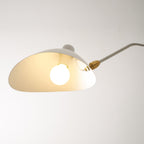 Multi-Arm Spider Ceiling Light