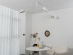 Multi-Arm Spider Ceiling Light