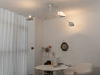 Multi-Arm Spider Ceiling Light