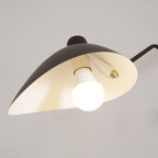 Multi-Arm Spider Ceiling Light