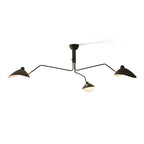 Multi-Arm Spider Ceiling Light
