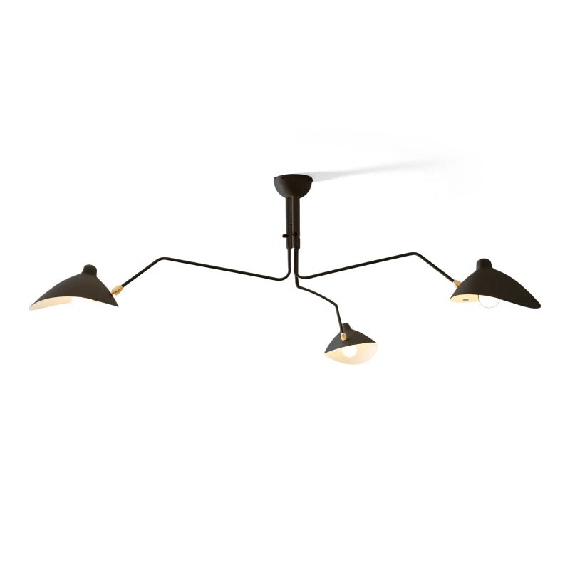 Multi-Arm Spider Ceiling Light