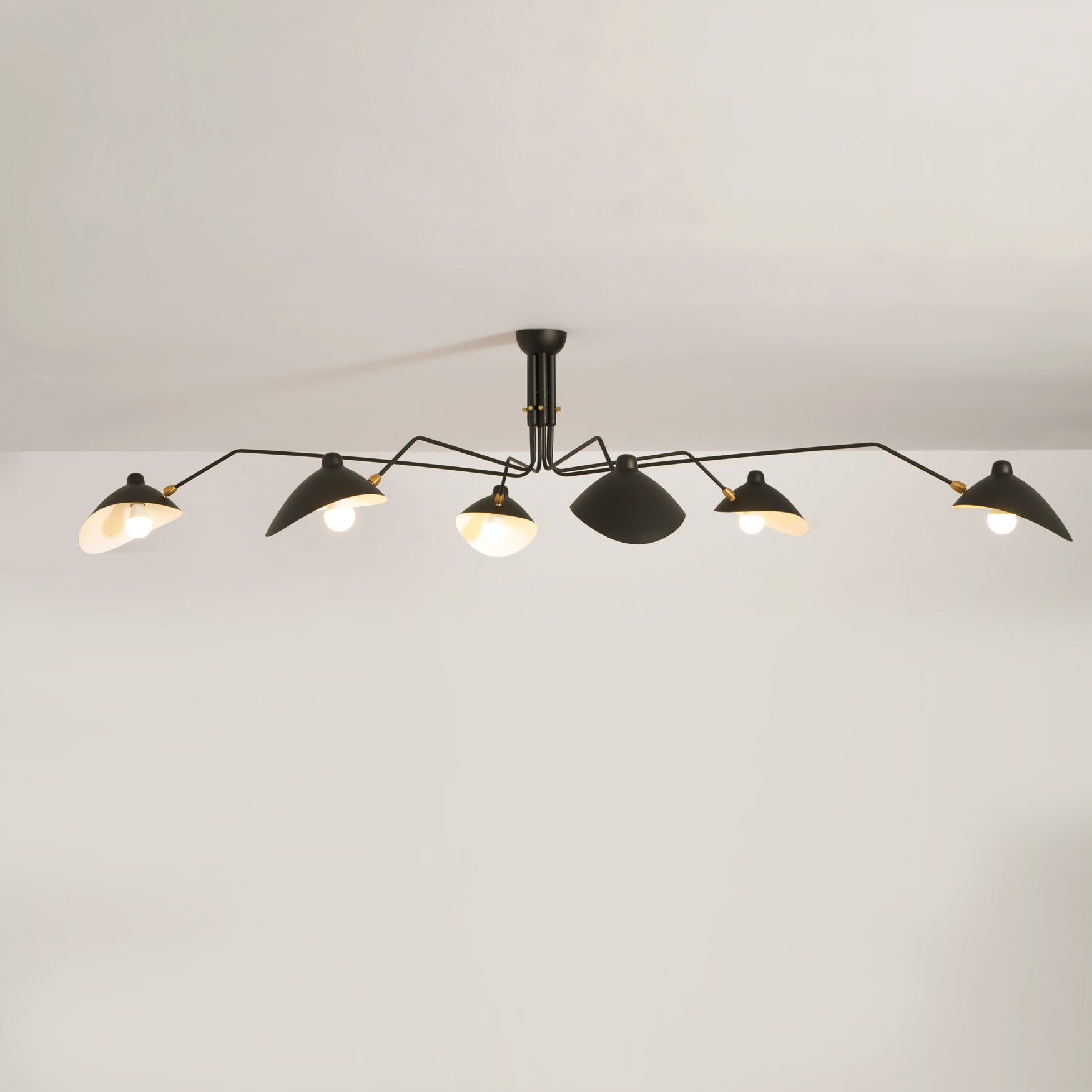 Multi-Arm Spider Ceiling Light