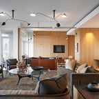 Multi-Arm Spider Ceiling Light